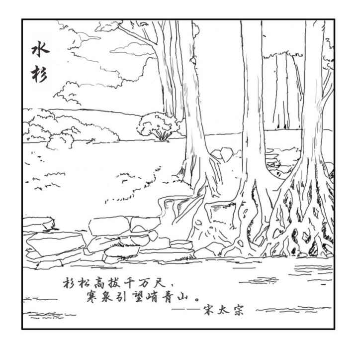 曲徑,茶田,溪流,古寺,煙樹之間,品一盞龍井香茗,享一份