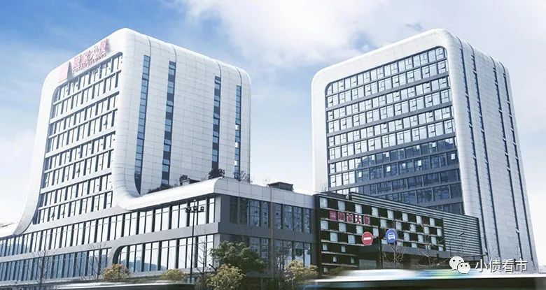 顾家集团董事长被调查 百亿债务压顶频繁海外并