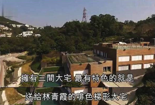 林青霞11亿豪宅曝光占地五千平堪比度假村环境好到引来仙鹤