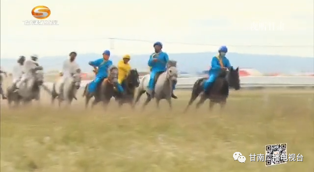 直播预告 赛马 草原上的 奥运会 甘南州 甘肃 直播 草原 今日聚焦