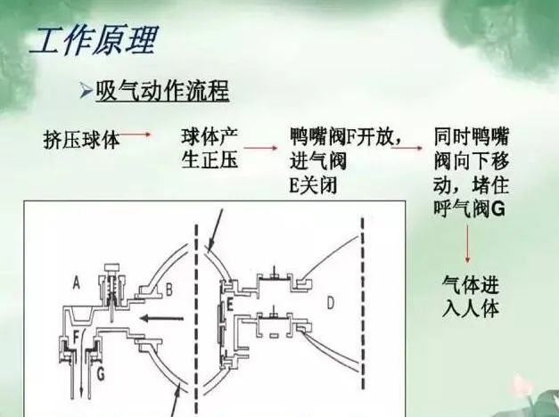 你会正确使用简易呼吸气囊吗