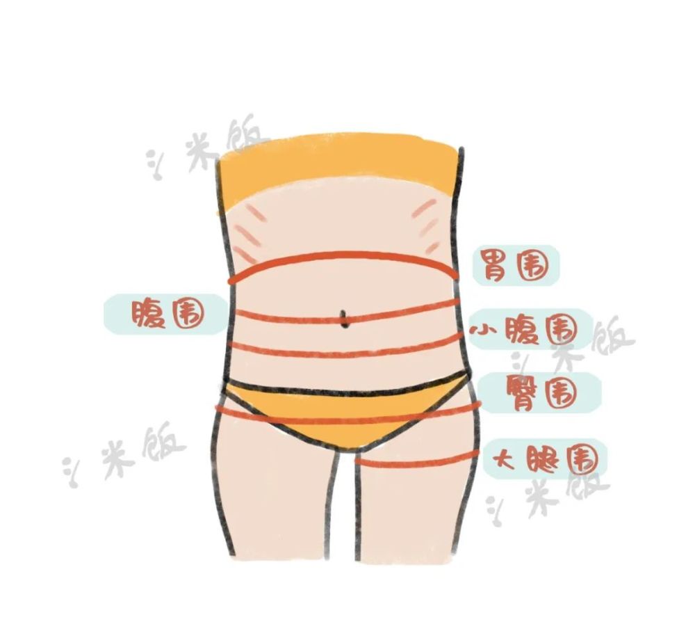 量的过程的心情有谁能体会胃围,腰围,小腹围,臀围,大腿围我又量了五围