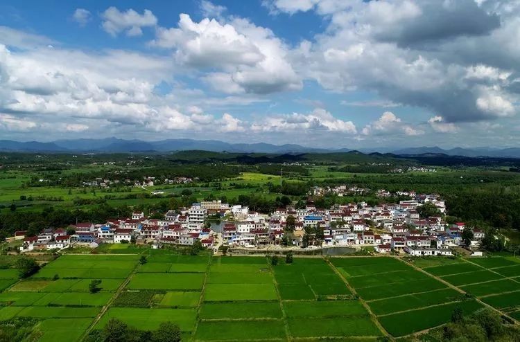 美丽乡村,魅力徐桥