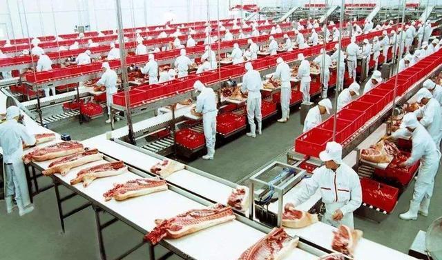 一年宰生猪1320万头,收入比前一年增加了23%|火腿肠|猪肉|万隆|屠宰场