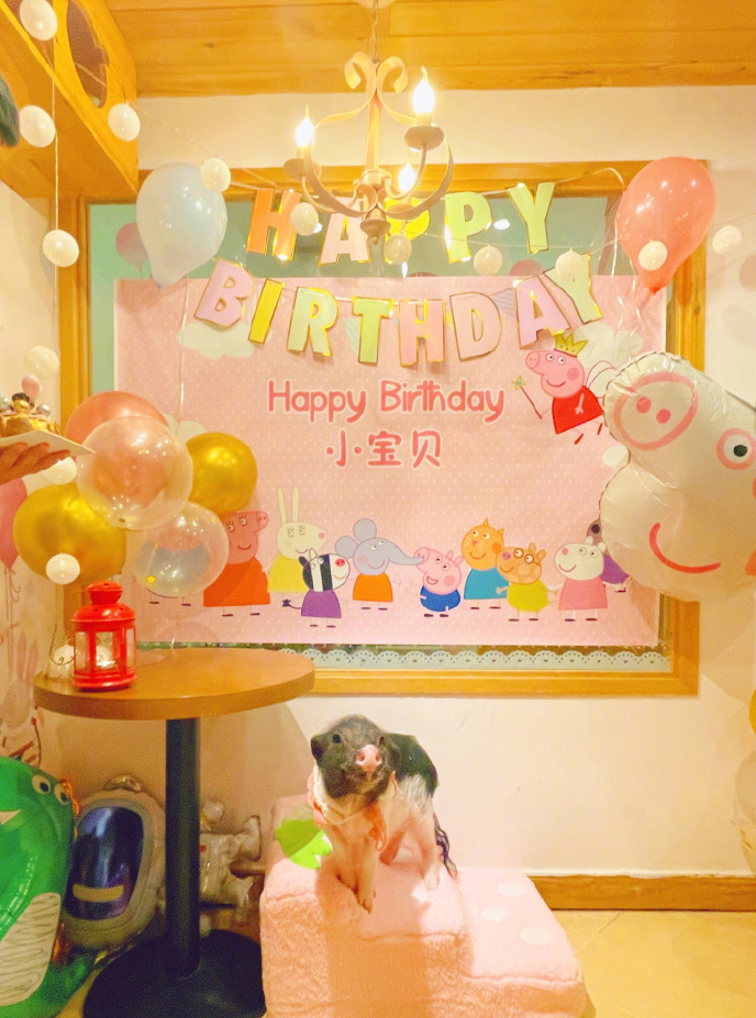宋茜为2岁小公主庆生,网友评价活的不如猪