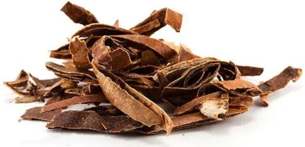 【小郎中学医记】第二部:瓜萎_腾讯新闻