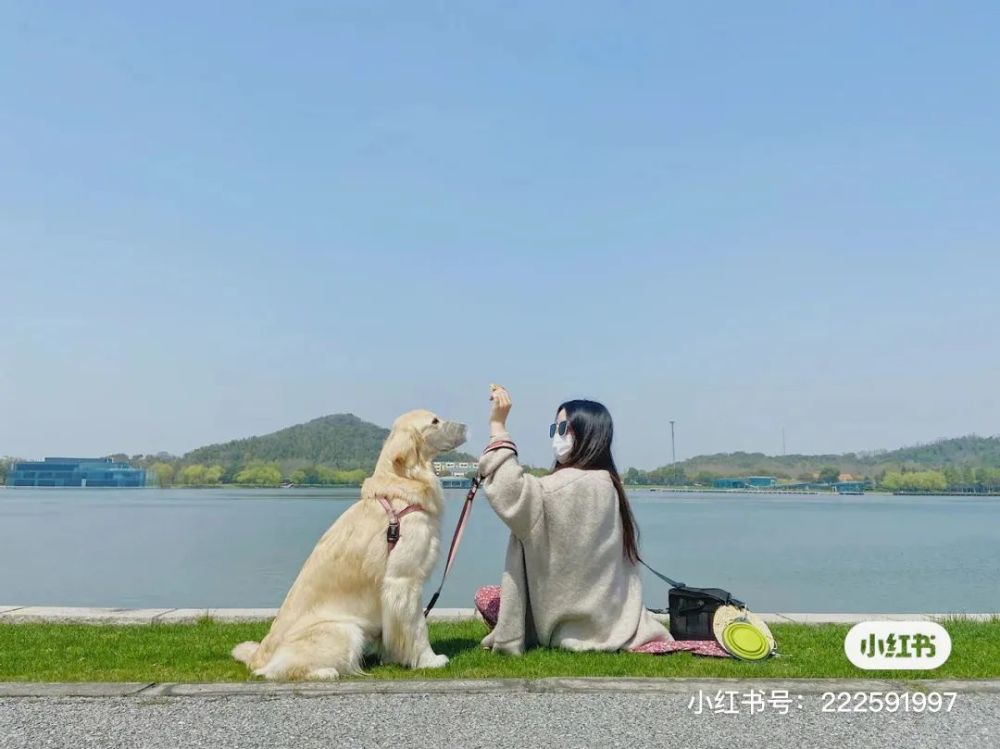 月湖雕塑公園擁有數萬平方米的綠地 是滬上少有允許寵物進入的景區