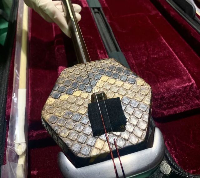 (视频)蟒蛇皮二胡_腾讯新闻