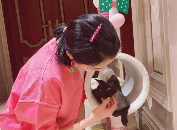 关晓彤给宠物猫买新玩具,部分网友看到后,竟纷纷开始酸了?