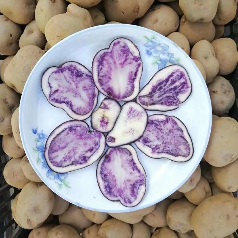 普格高山乌洋芋的做法(大凉山乌洋芋的功效与作用)