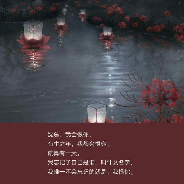 哪句话让你记住了整本小说