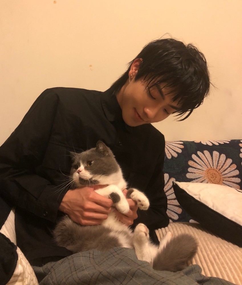 帅哥美女和猫合照谁顶得住啊尖叫