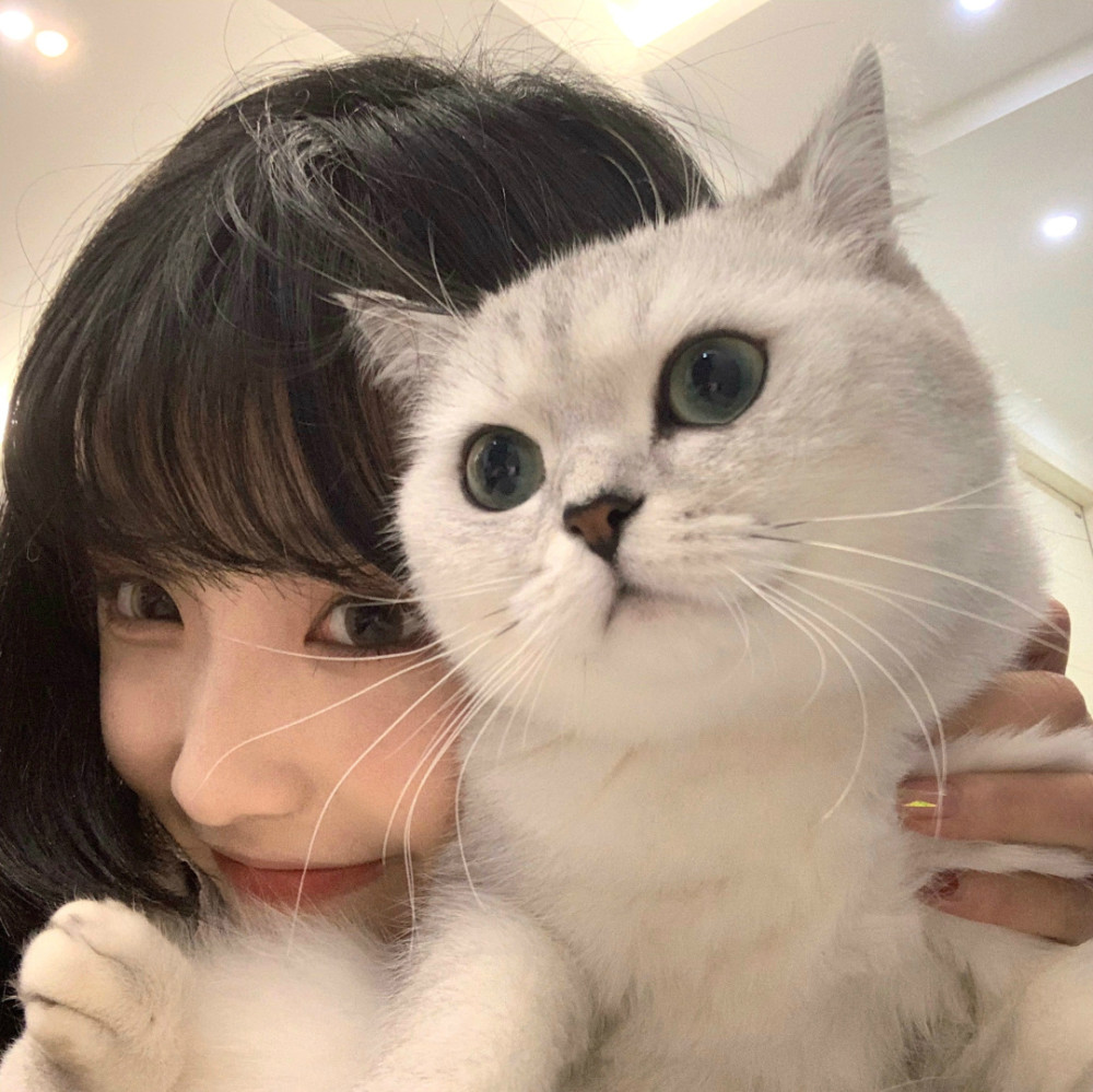 帅哥美女和猫合照谁顶得住啊尖叫
