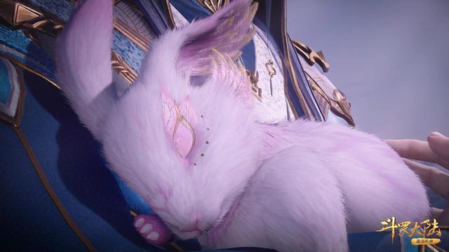 兔子爱吃萝卜,这是大家都知道的事,然而我们的小舞竟然对萝卜没有感觉