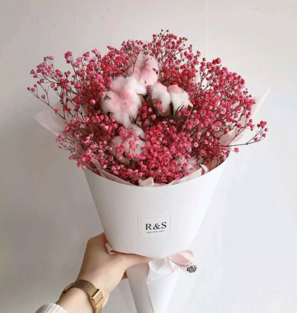 心理测试:选一款你喜欢的满天星,测最近你能遇见自己的一生挚爱吗!