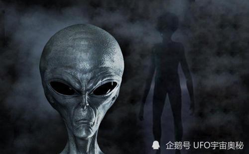 et外星生物事件到底是否是真實的