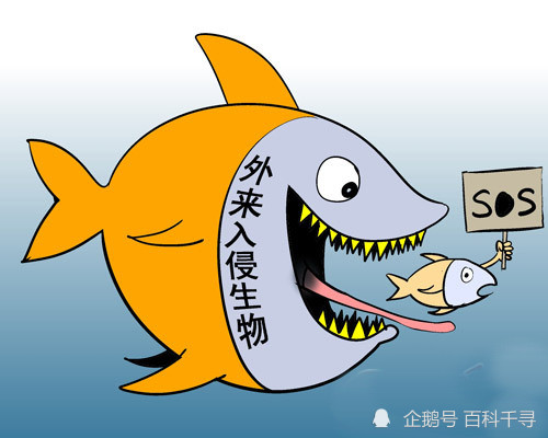 我国660种入侵物种里哪些是能吃的靠吃能解决物种入侵吗