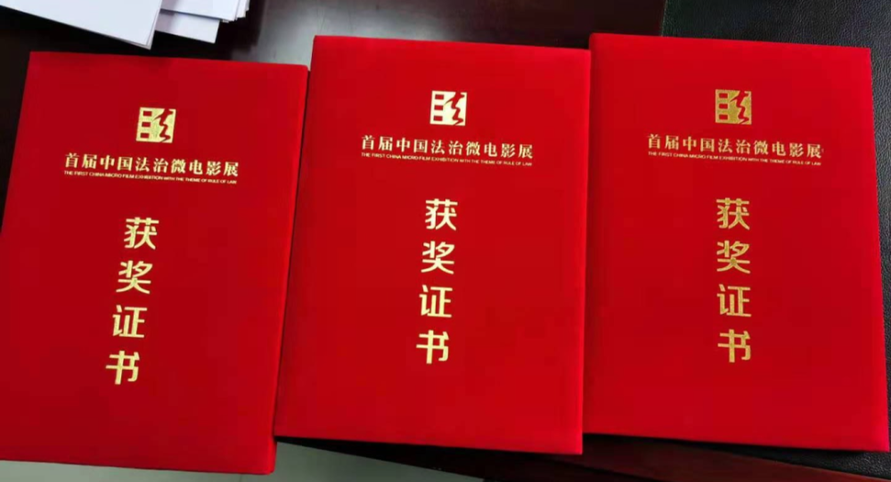 《爱如初》在1335部作品中脱颖而出,荣获特别奖和最佳剪辑奖两项大奖