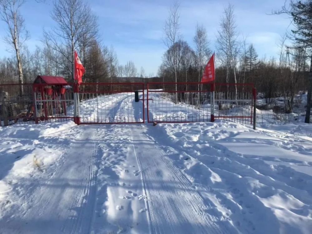 基层动态塔河林业局瓦拉干林场深入开展野生动物疫源疫病监测构筑疫情