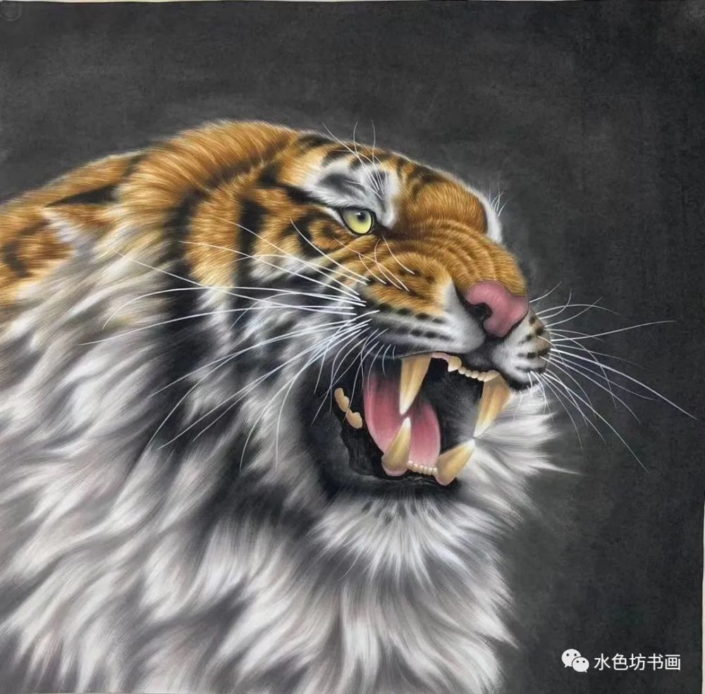 画家专栏│王建辉——虎卧中堂 万事吉祥