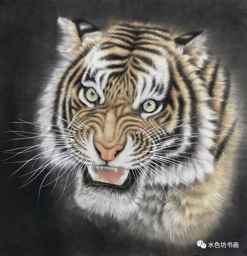 画家专栏│王建辉——虎卧中堂 万事吉祥