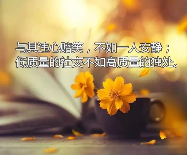 适合发朋友圈的精美句子「适合发朋友圈的精美句子,句句优美」