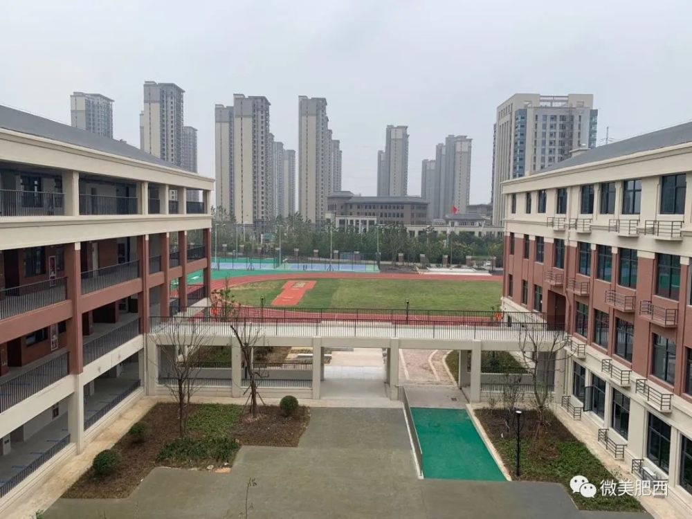 2020肥西小学排名_肥西新增4所小学8所幼儿园,可提供10800个学位