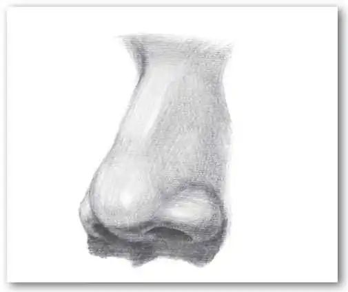 零基础素描教程:分步骤讲解3/4侧面鼻子画法,简单易学,快临摹_腾讯