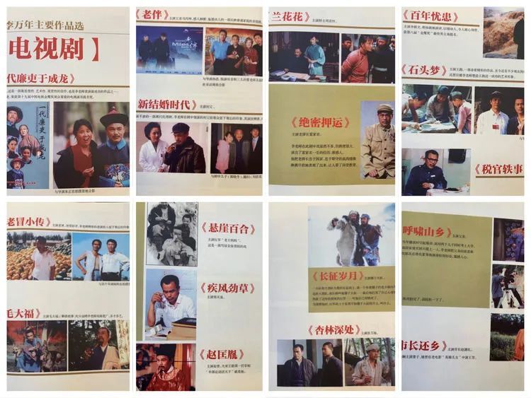 1986年《赵州桥传奇》1987年《百年忧患》1988年《石头梦》1992年《老