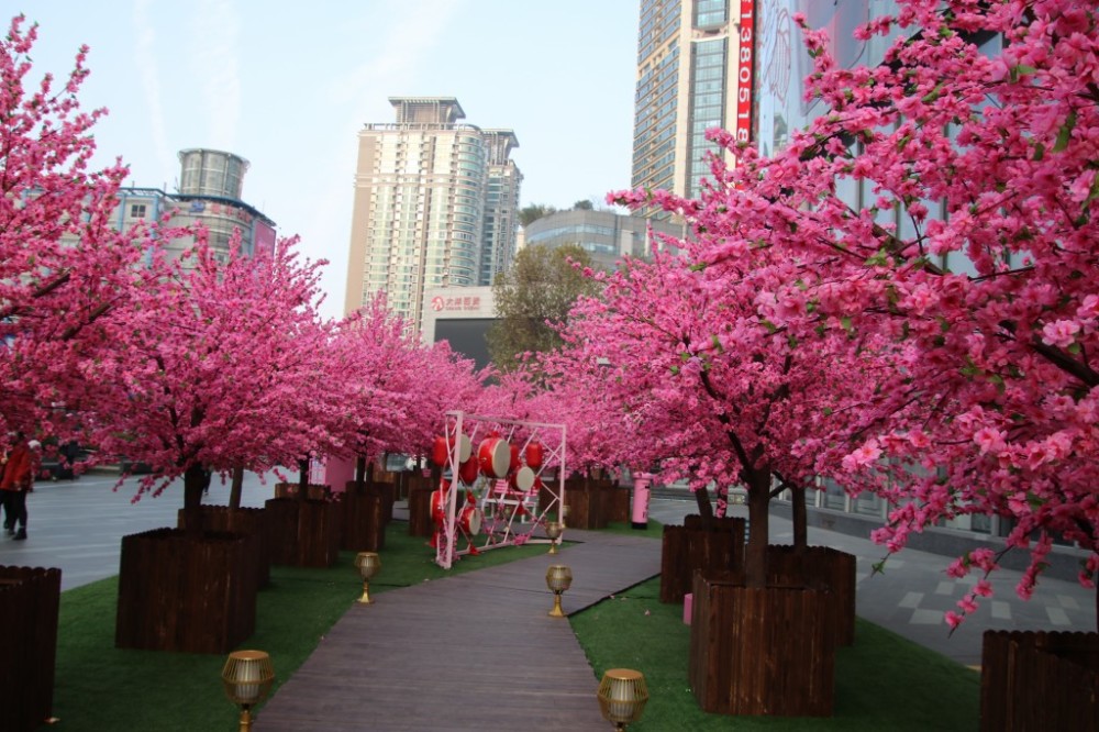 百余株桃花树亮相新街口广场