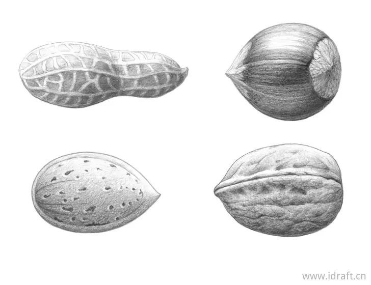 堅果怎麼畫花生榛子杏仁和核桃的鉛筆畫法素描