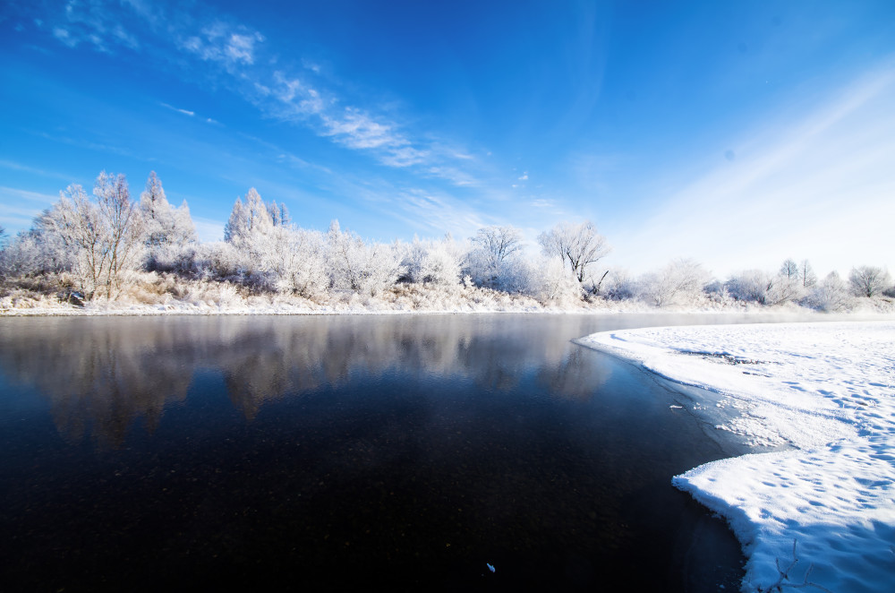 加格达奇绝美雾凇如礼花绽放