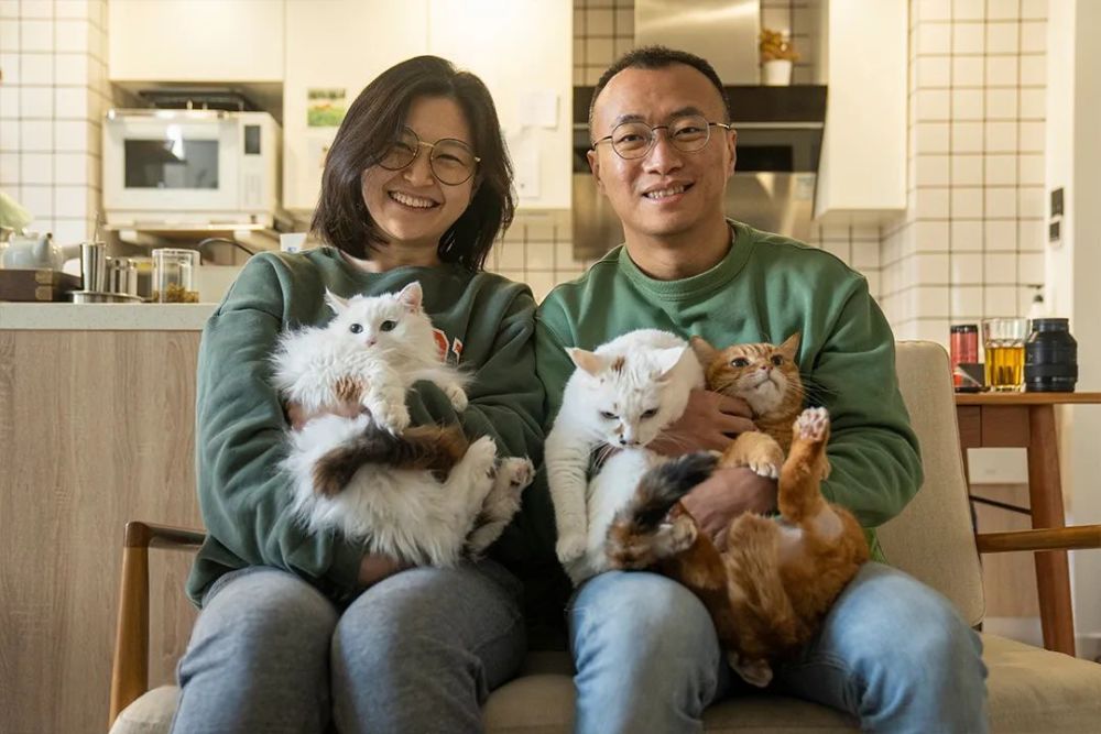 谷雨丨买房早,没孩子,38岁北京丁克程序员:搬一辈子砖也不错