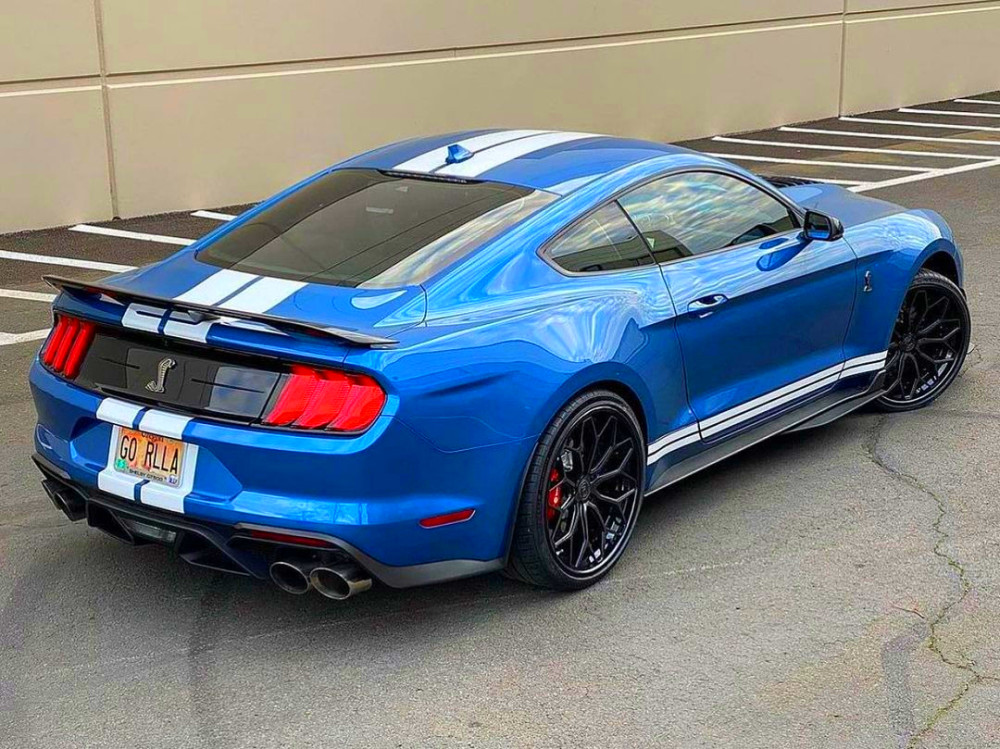 福特野马gt500眼镜蛇(福特野马gt500眼镜蛇国内报价)