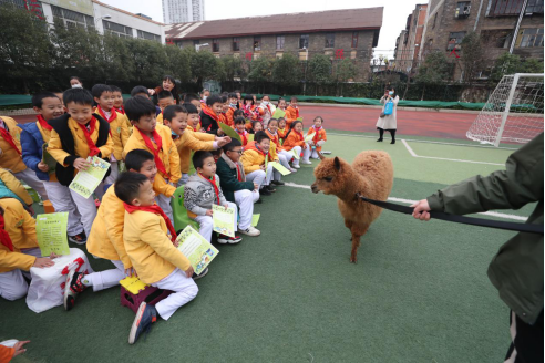 小学生cop15手抄报模板图片