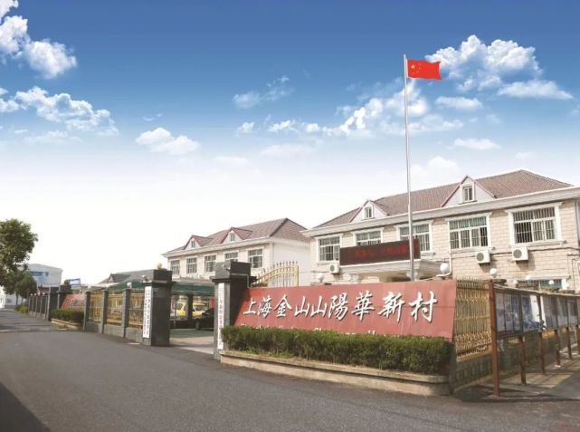 还将有g228和沪乍杭铁路经过|高速公路|金山铁路|华新村|金山区|出村