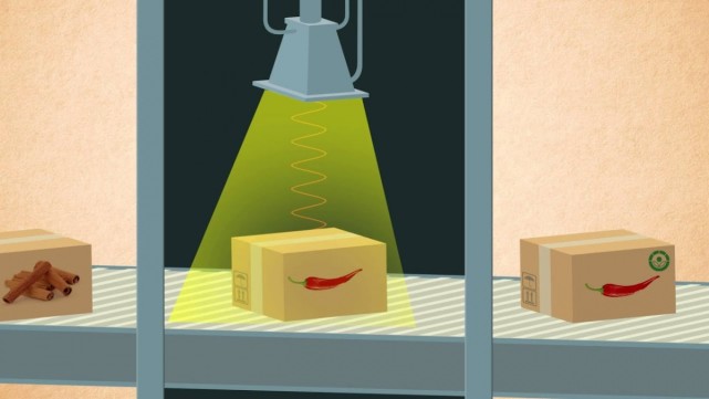 我们经常吃的猪肉,相当一部分居然是核辐射食品,会对身体有害吗