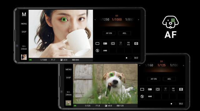 2020屏幕最好的手机_2020年「好屏手机」排行榜:有国产有三星,可苹果12没