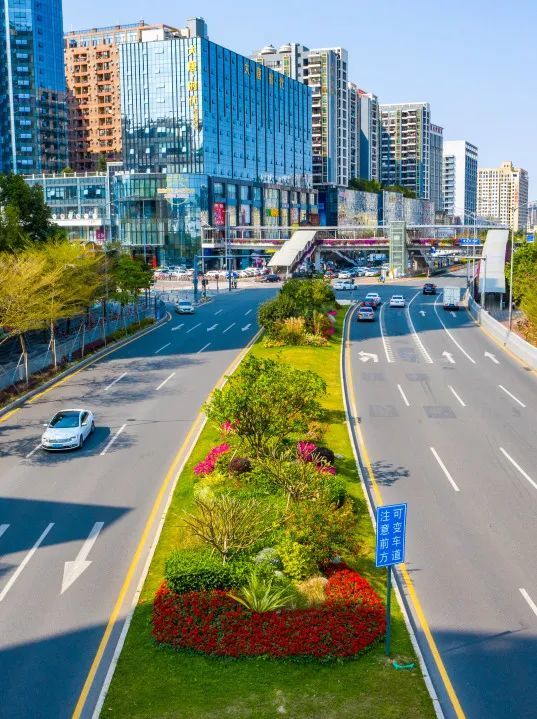 一路一风景穿行花园路口感受花漾龙华