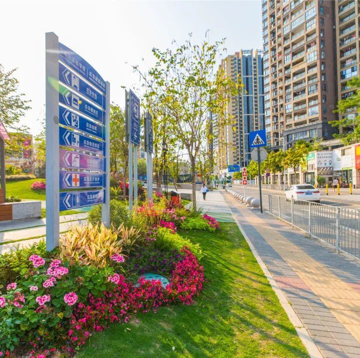 一路一风景!穿行花园路口,感受花漾龙华