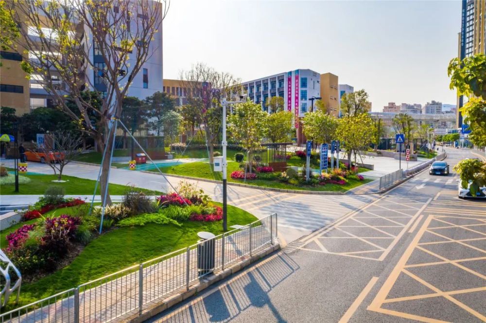 一路一风景!穿行花园路口,感受花漾龙华