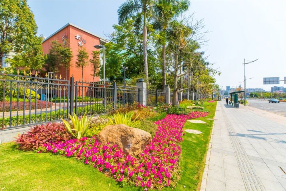 一路一风景!穿行花园路口,感受花漾龙华