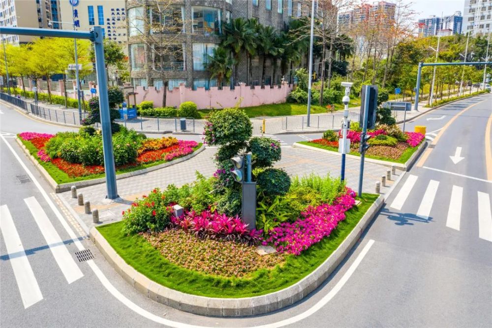 一路一风景!穿行花园路口,感受花漾龙华