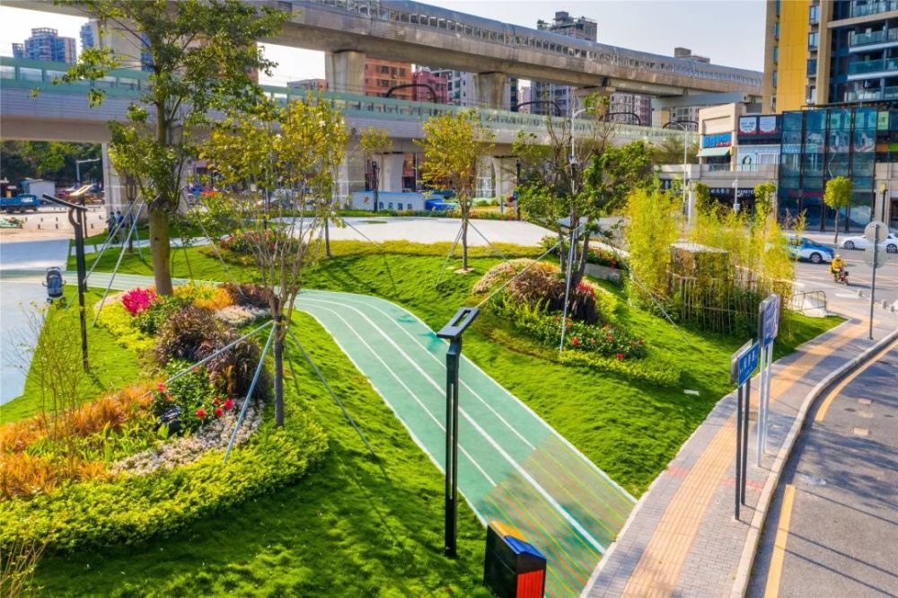 6万平方米.未来,龙华还将有更多高颜值城市绿化景观在路边街