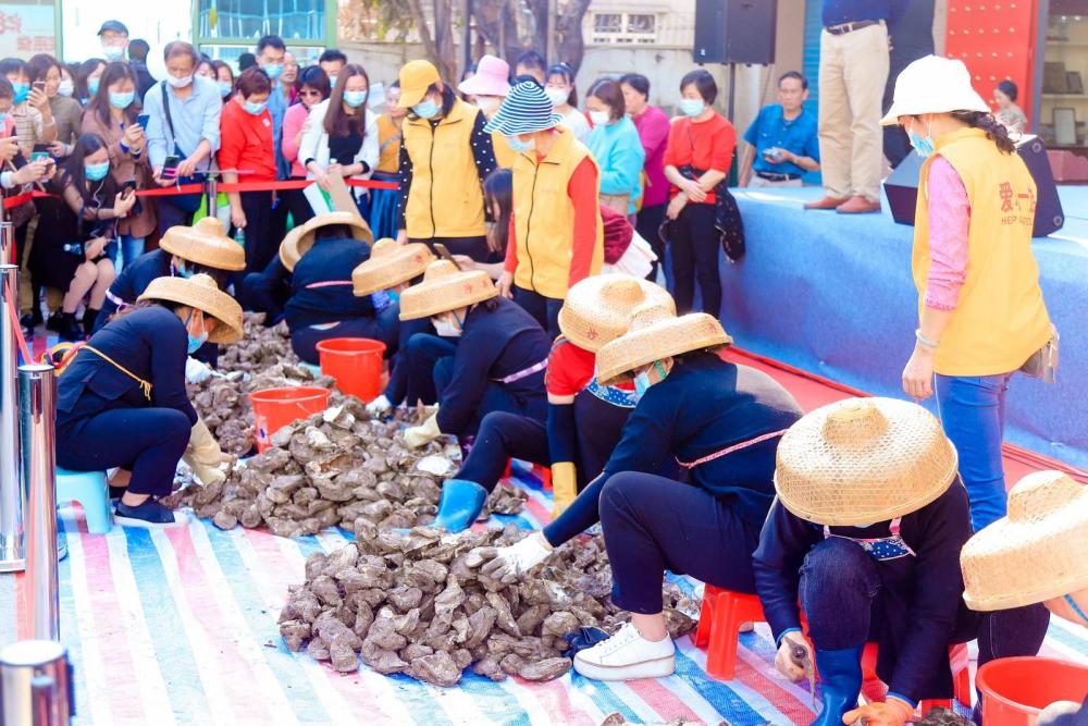 魅力湾区蚝美沙井第十七届宝安沙井金蚝节开幕蚝乡湖公园同步开放