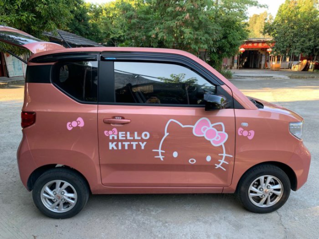 街头最靓的hellokitty02宏光miniev我真的爱了