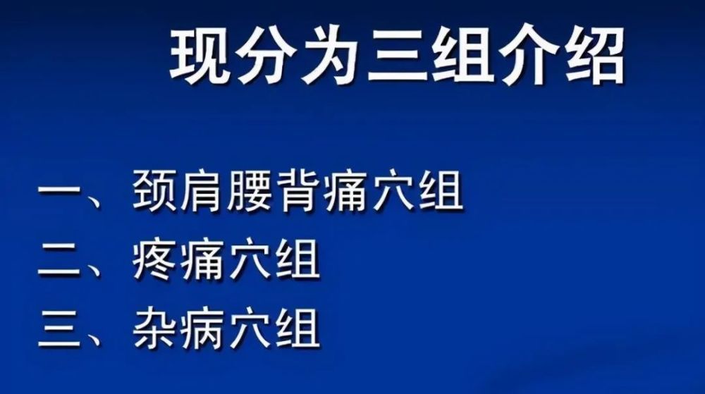 一針奇效的平衡針38穴 健康加油站