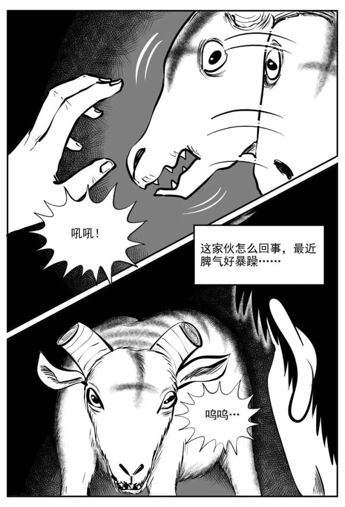 人性暗黑漫画谜岛人吃人的故事