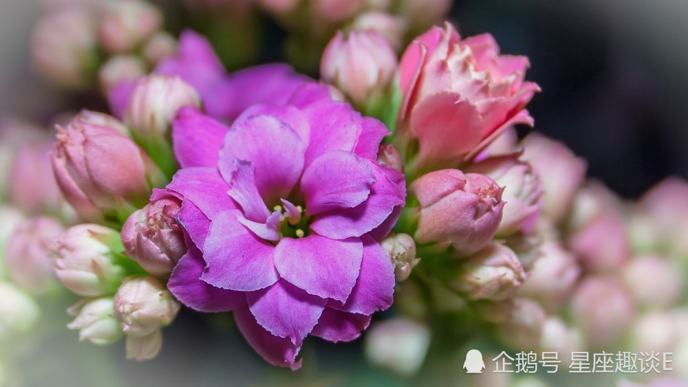 12月28日星座运势 双子贵人相助 天蝎落实行动 水瓶头脑清晰 腾讯新闻