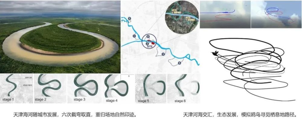 天津海河邊將新建兩個公園！設(shè)計方案曝光！